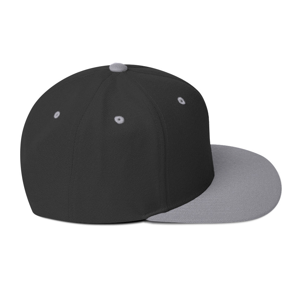 Hale Snapback Hat