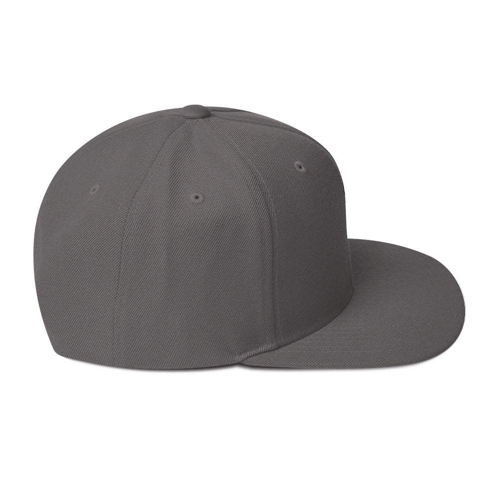 Hale Snapback Hat