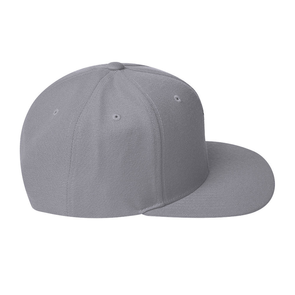 Hale Snapback Hat